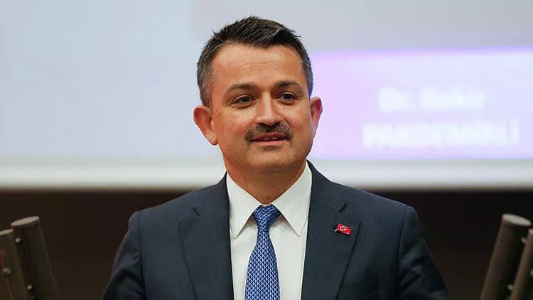 Forest Products Exports Exceeded 4 Billion Dollars