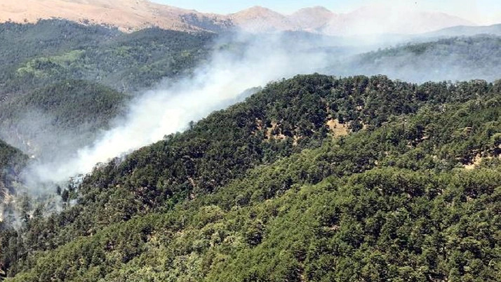 Ardahan’da Ormanlık Alanlara Giriş Yasağı