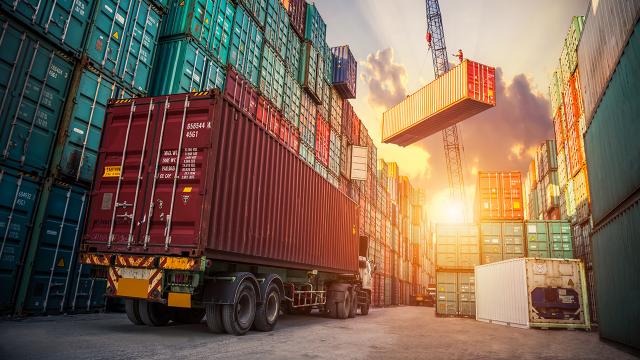 Orman Ürünlerinden 1 Milyar Dolarlık Katkı Bekleniyor
