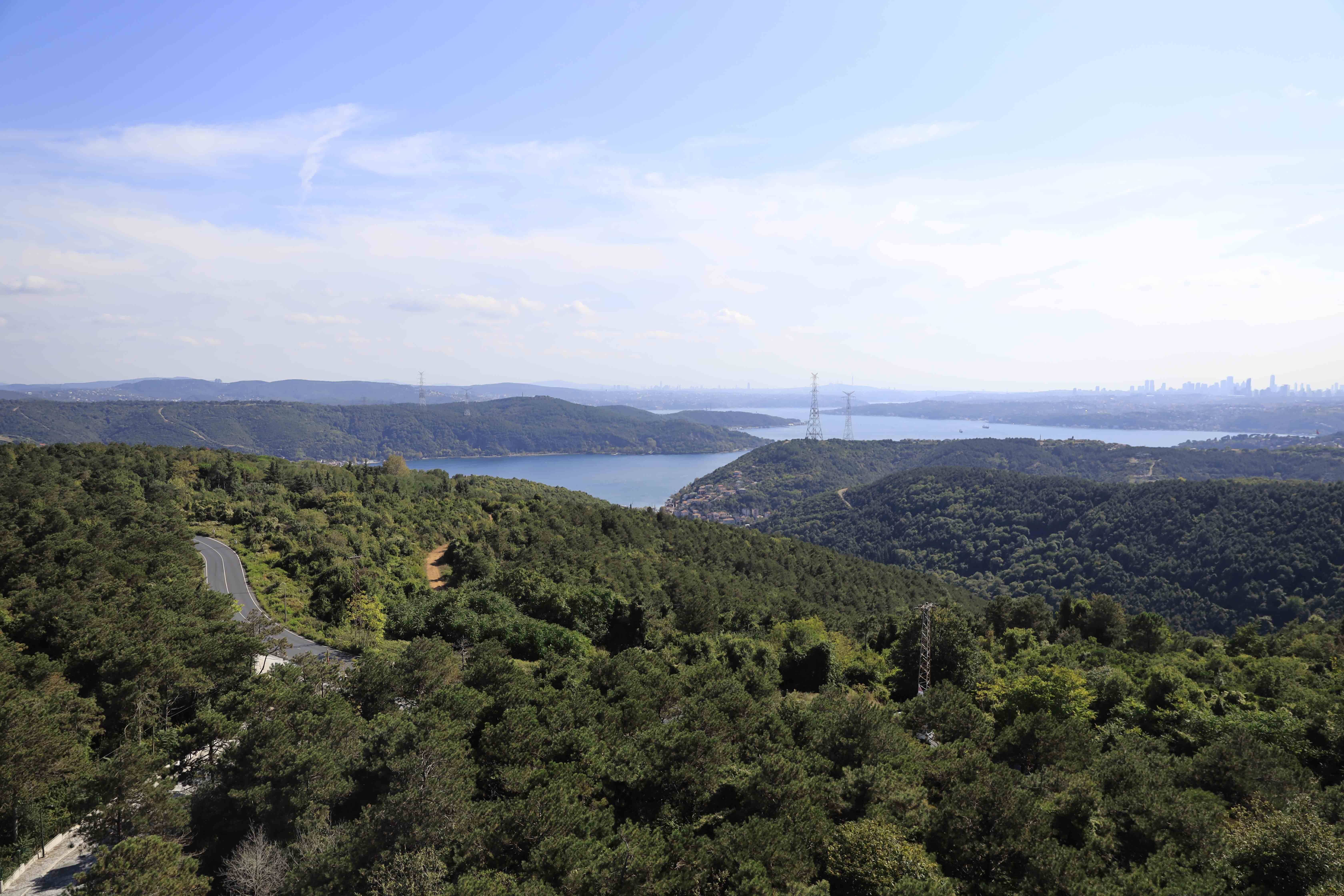 İstanbul’un Ormanları 7/24 İzleniyor 