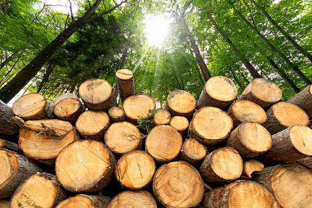 Log And Usage Areas